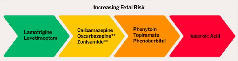fetal risk graphic