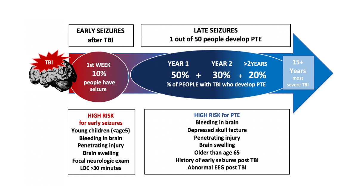 risk chart for post traumatic epilepsy (PTE)